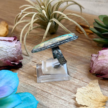 Load image into Gallery viewer, MJ Turquoise Ring – Sterling Silver Adjustable Band