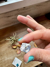 Load image into Gallery viewer, Zuni Stud Earrings – Turquoise &amp; Sterling Silver
