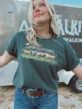 Load image into Gallery viewer, WILD HORSES
