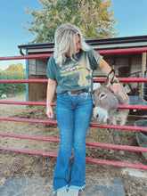 Load image into Gallery viewer, WILD HORSES
