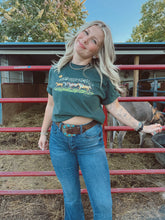 Load image into Gallery viewer, WILD HORSES
