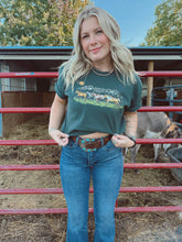 Load image into Gallery viewer, WILD HORSES
